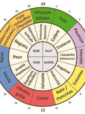 Une journée avec les méridiens chinois